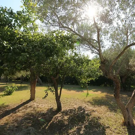 Villa Argo 2 - Beachfront, Big Gardens, Location! Pefkochori